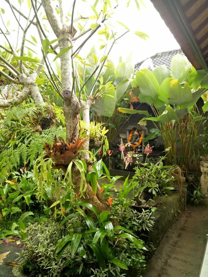 Krisda Ubud Guest House المظهر الخارجي الصورة